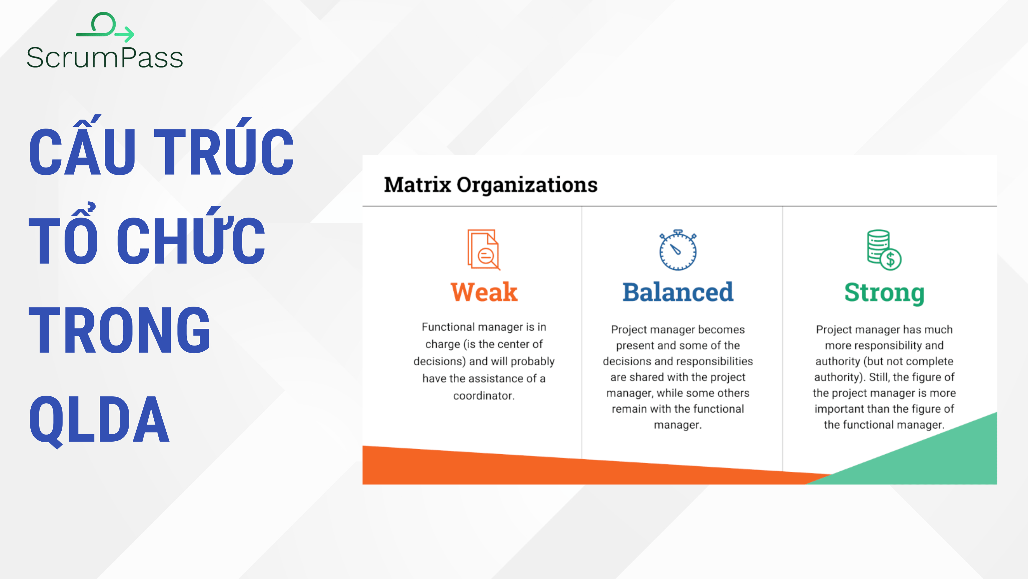 Phân biệt 3 loại cấu trúc tổ chức FUNCTIONAL Organization – PROJECTIZED – MATRIX trong Quản lý dự án theo PMP