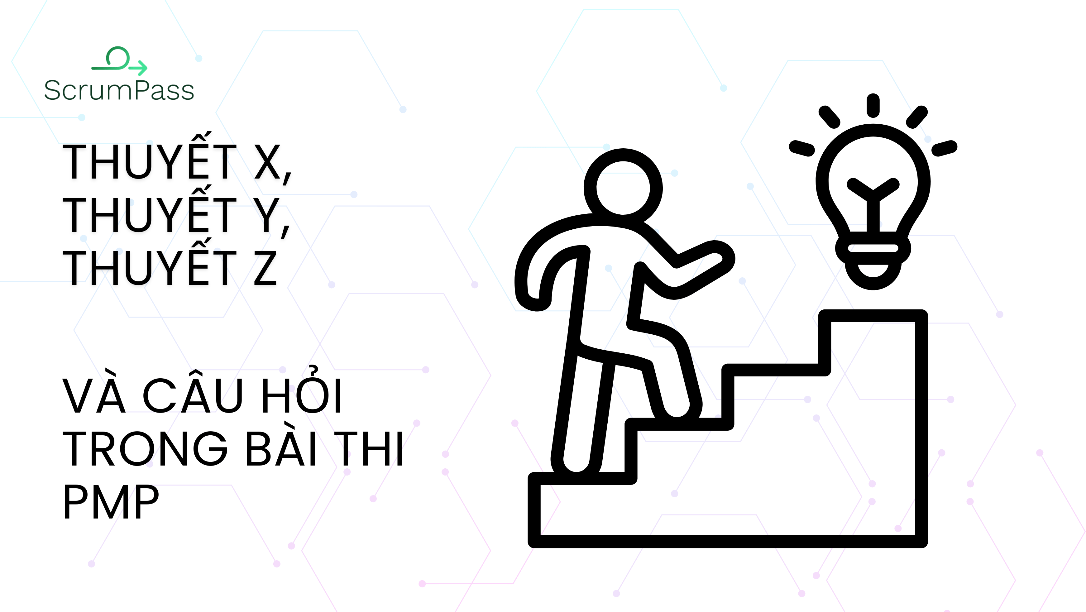 Thuyết X, thuyết Y, thuyết Z và câu hỏi trong PMP